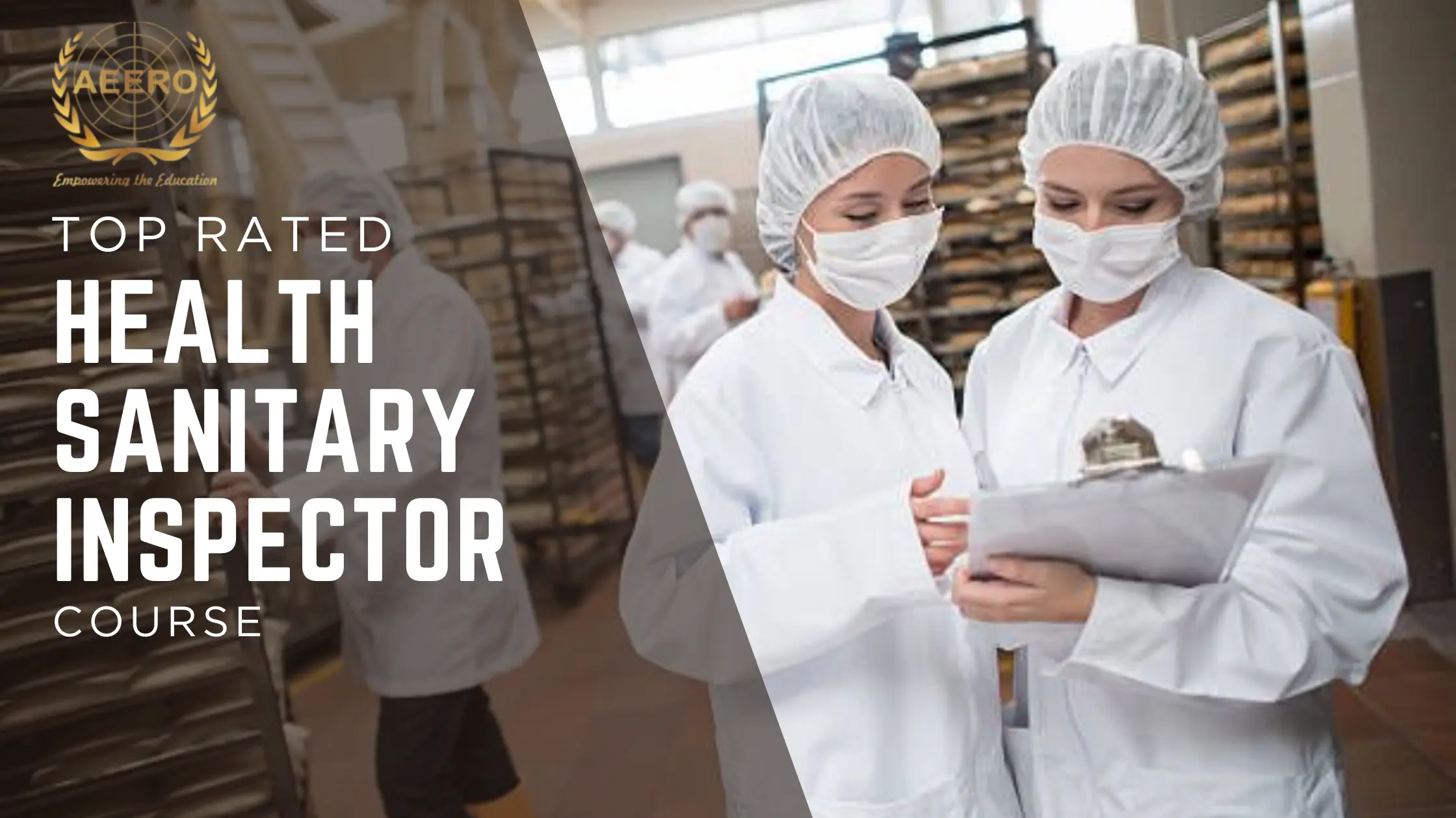 online sanitary inspector course